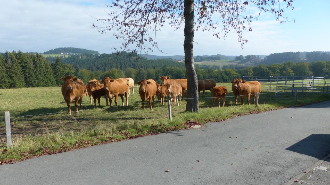 Aussichtsbauernhofpension Hof Gretchens Winterberg Eksteriør bilde