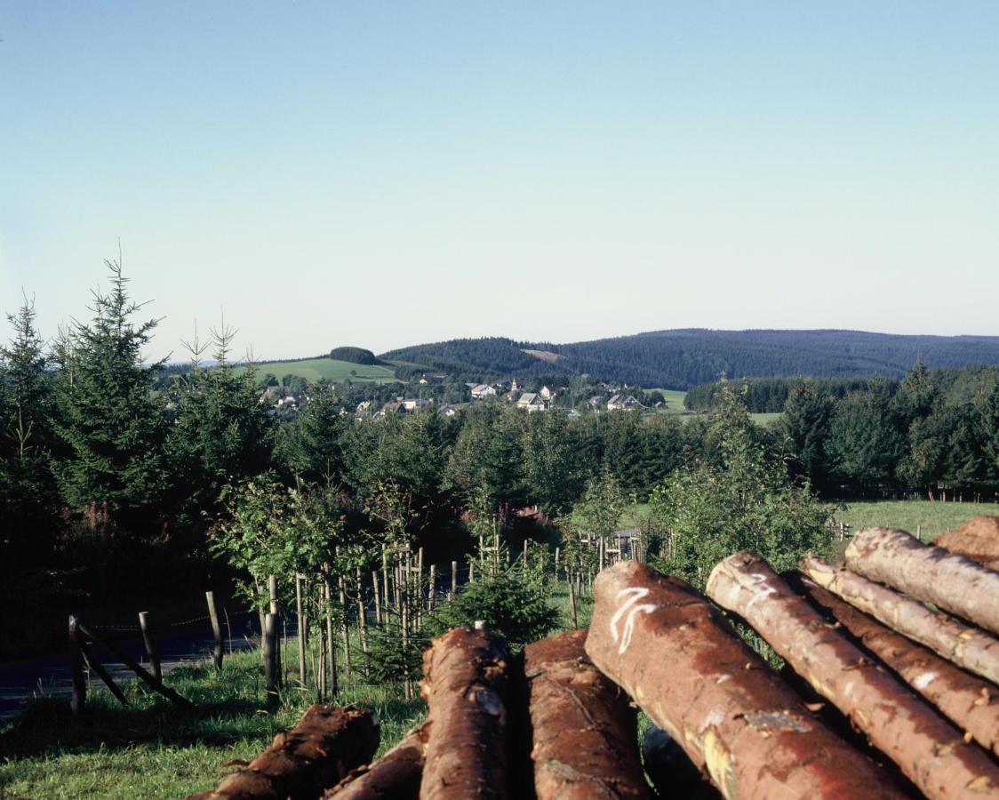 Aussichtsbauernhofpension Hof Gretchens Winterberg Eksteriør bilde