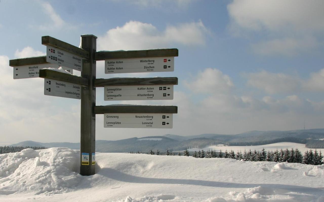 Aussichtsbauernhofpension Hof Gretchens Winterberg Eksteriør bilde