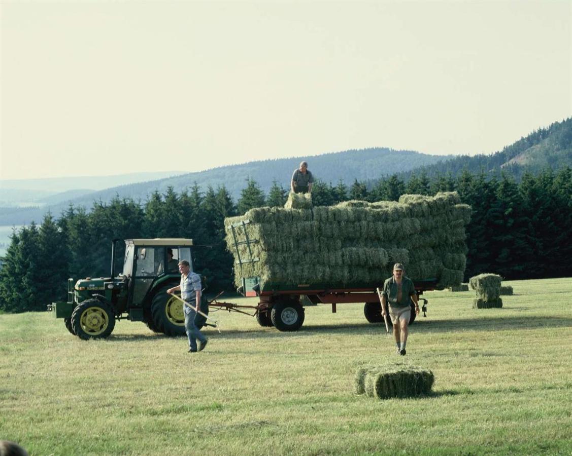 Aussichtsbauernhofpension Hof Gretchens Winterberg Eksteriør bilde